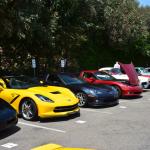 StElizabeths_0063 (June 26, 2015)